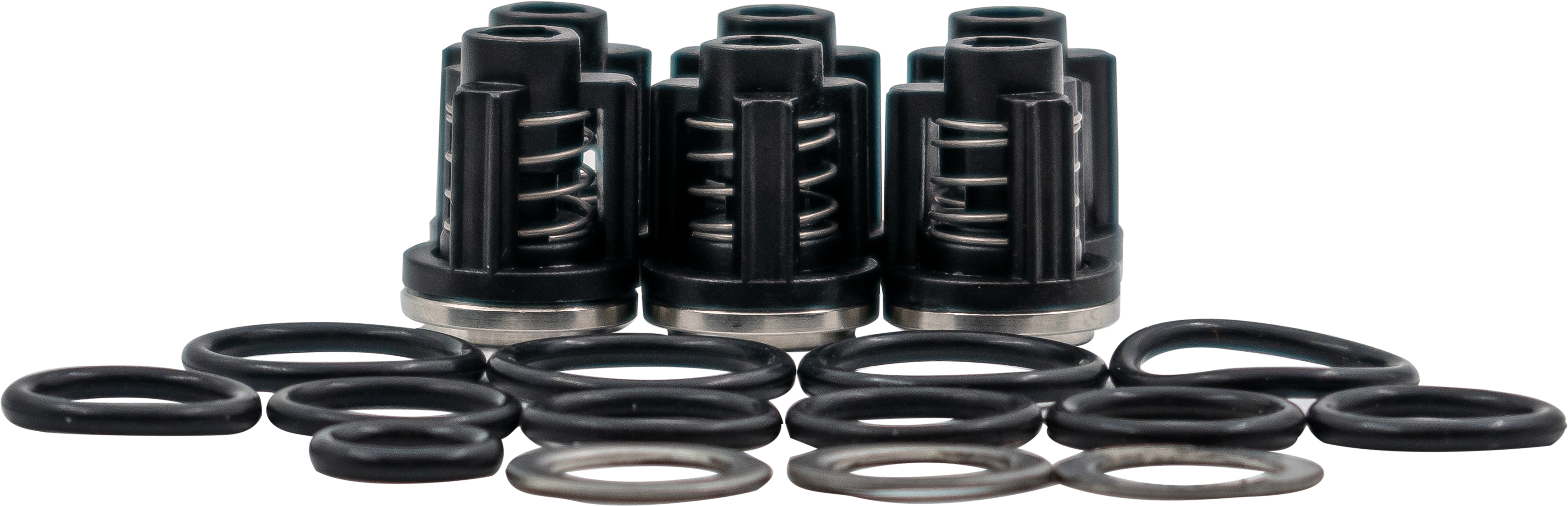 Valve Kit suct/del  KS/Scout [115 50250019]