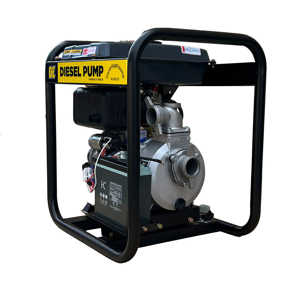 2" BSP Single Water Transfer Pump[124 WD2060-RE]