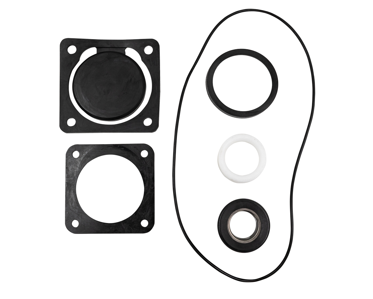 Seal Kit 1  P shaft [125 85.572.618]