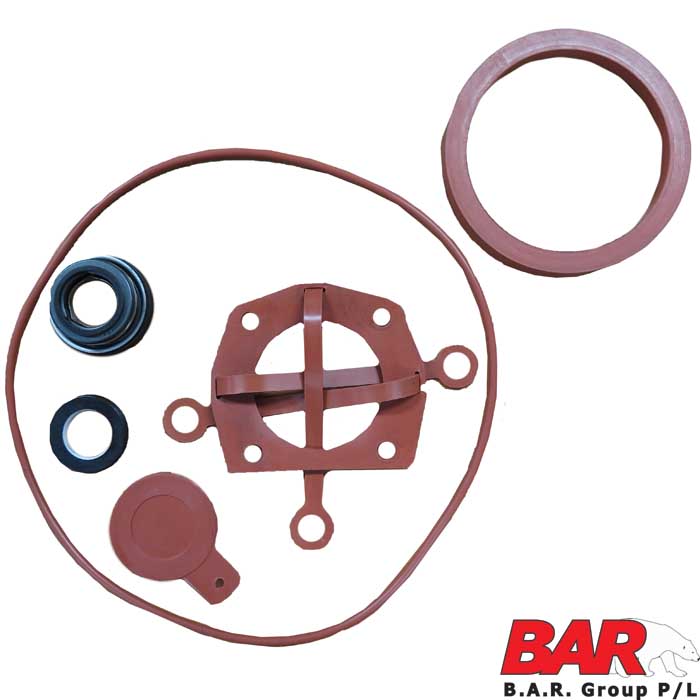 NP3065 Viton Seal Kit (C1) [125 85.572.379V]