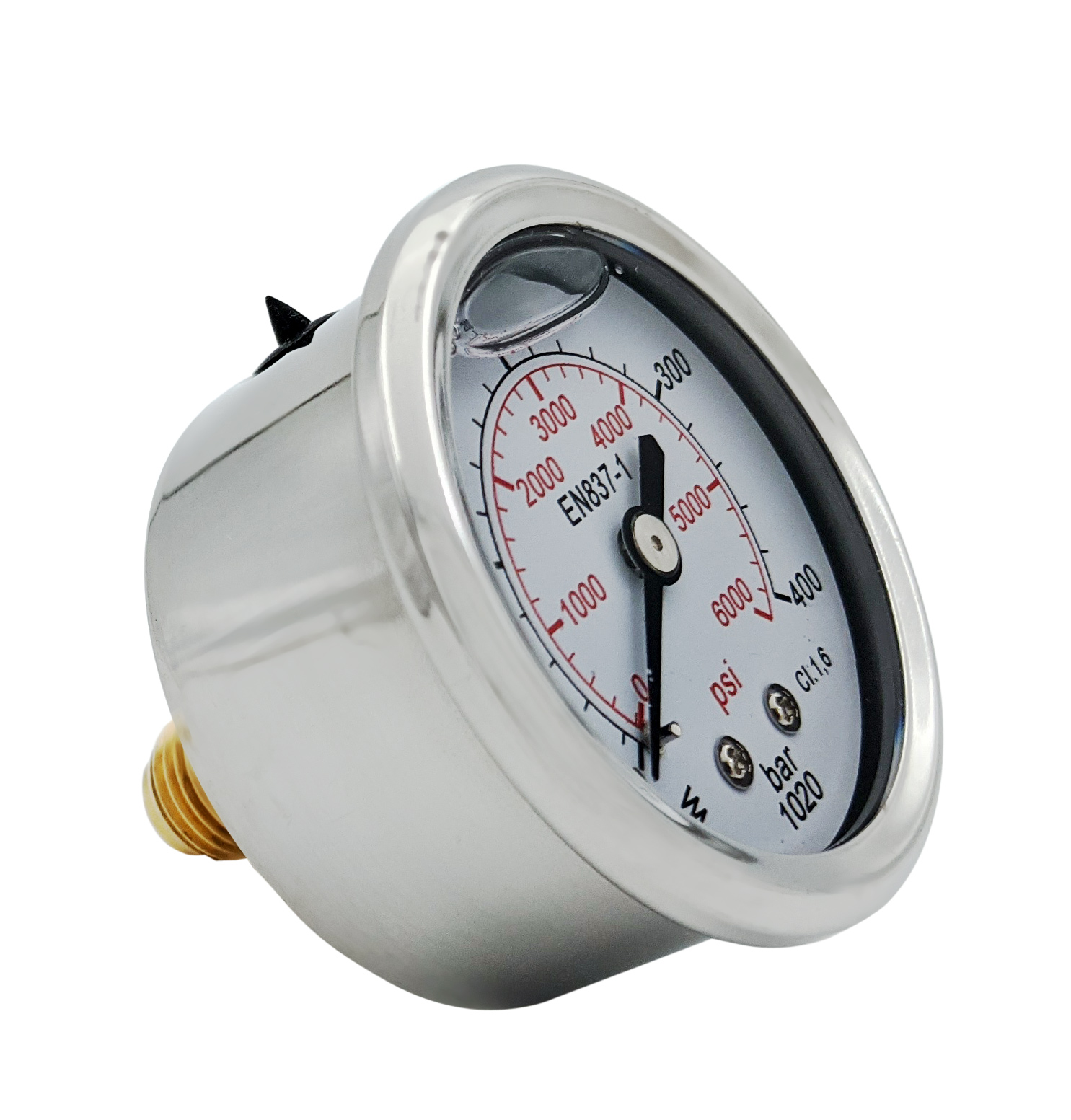Gauge 50mm (D1) [148 548 43]