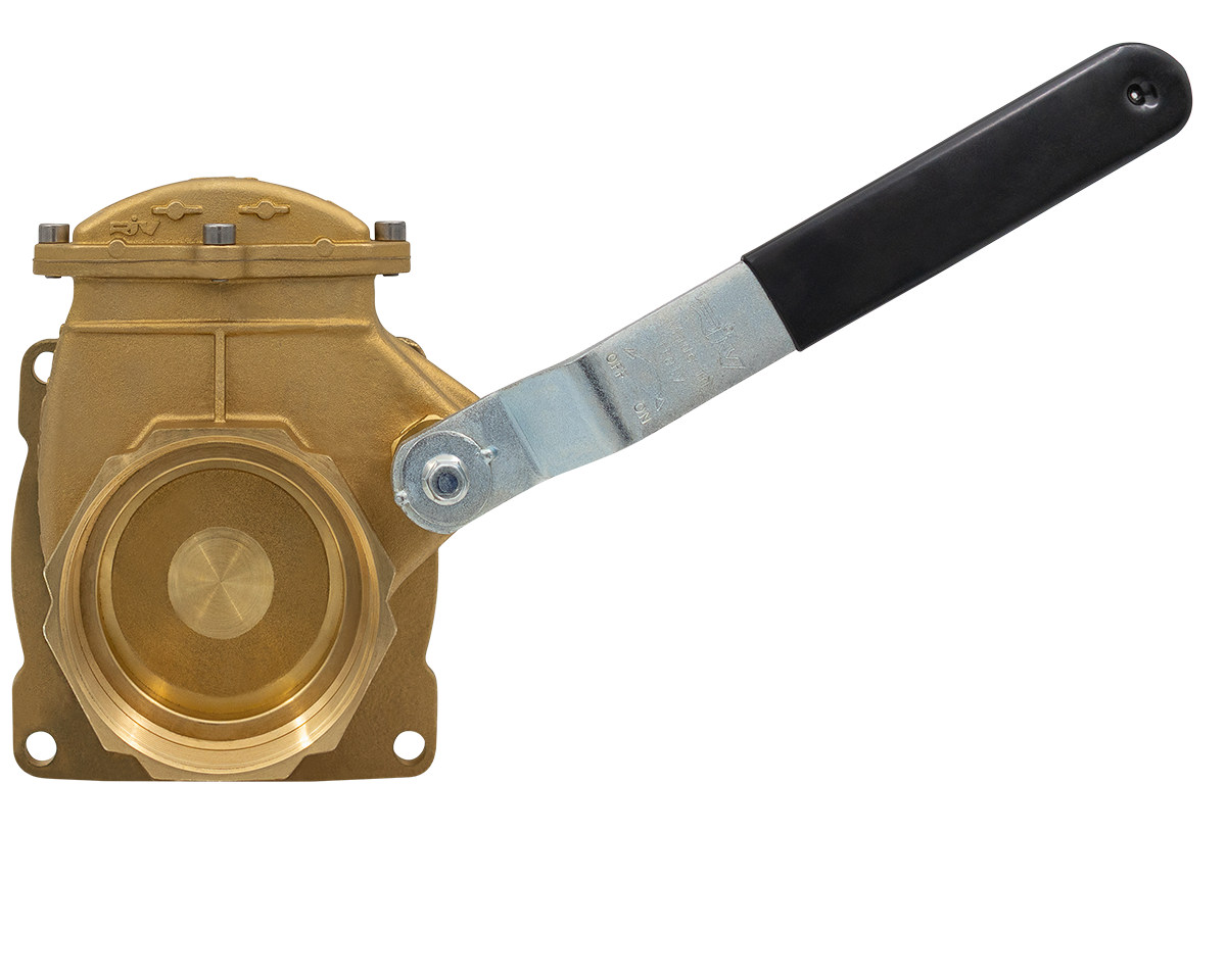 Lever Gate Valve (C1) [165 RIV580-4]