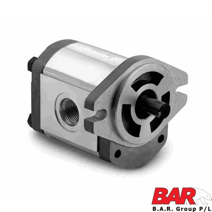 Hyd Motor 54cc Gear Motor (C1) [165 300045]