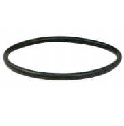 O-ring Gasket for Flange [165 RIV9858-4]