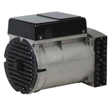 Alternator 11kVA AVR Meccalte [165 ES20F-200/2]