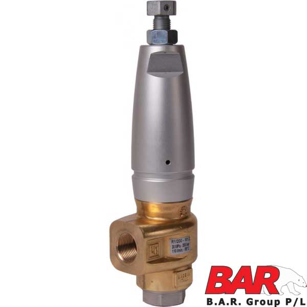 Unloader 2900psi 110L/min [222 R1/200]