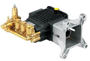 Pump Assembly - Plunger - RSV Series - Hollow, 3/4" Shaft - Annovi Reverberi[213 RSV3G31D Assy]