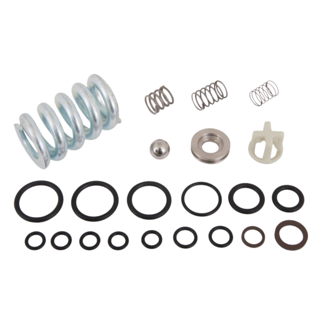 Interpump Parts Kit [222 KIT093]