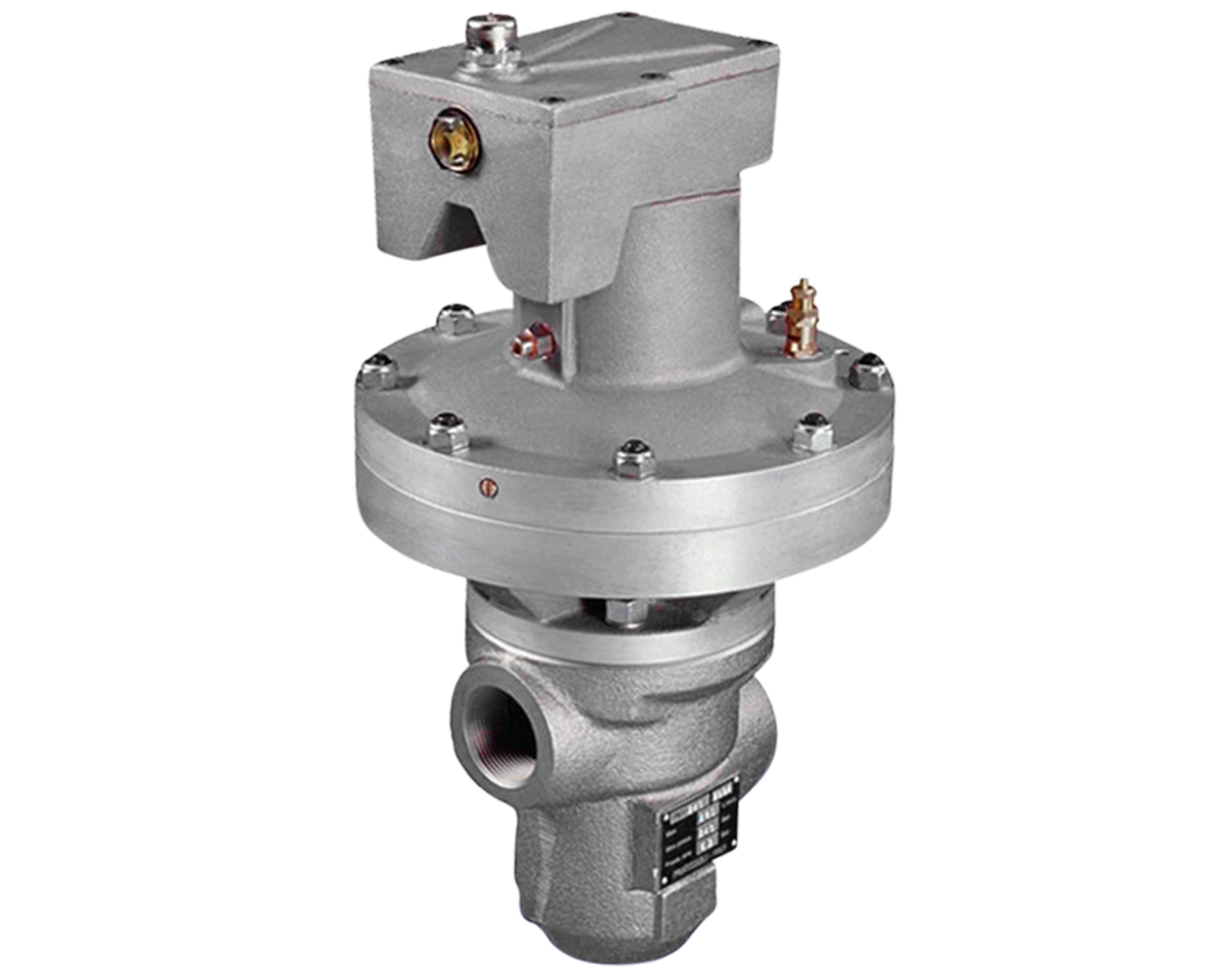 Interpump - General Pump Valve (B1) [222 PN3 240]
