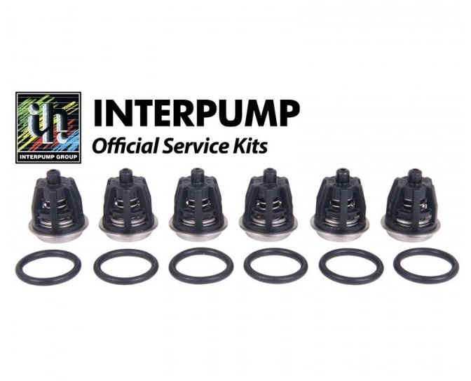 IP Valve Kit 1 per pump [222 KIT001]