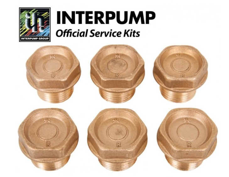 Interpump Valve Plugs M24x2x16 [222 KIT004]