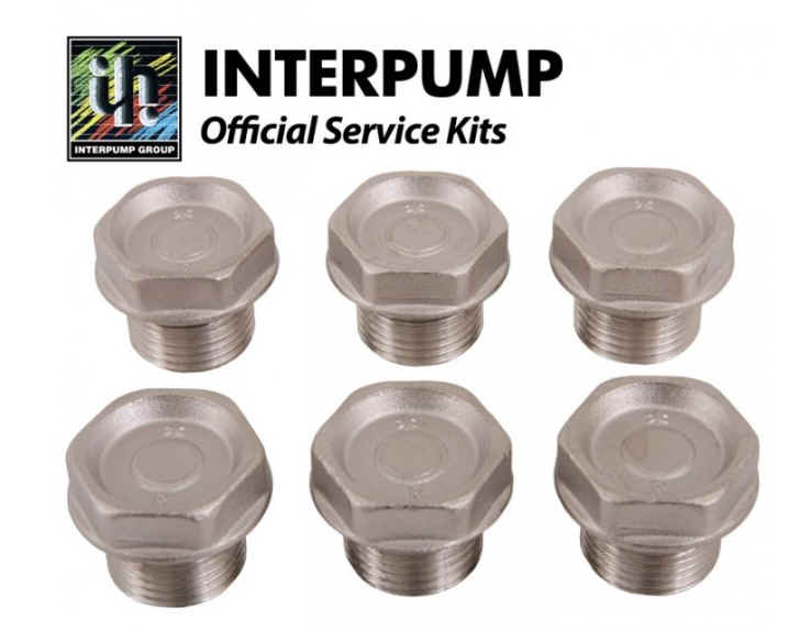 Interpump Valve Plugs M24x2x16 [222 KIT005]