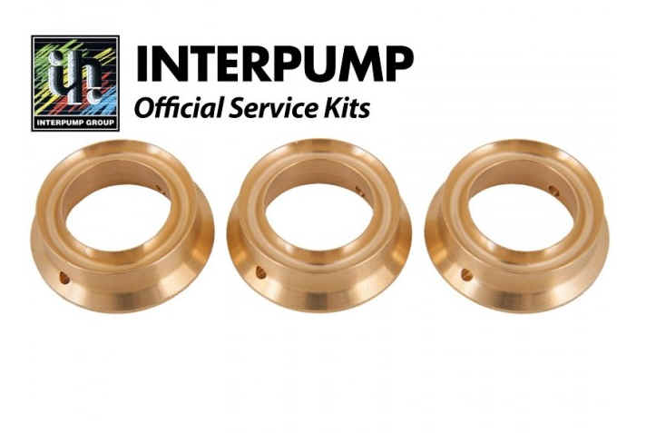 Interpump Parts Kit [222 KIT020]