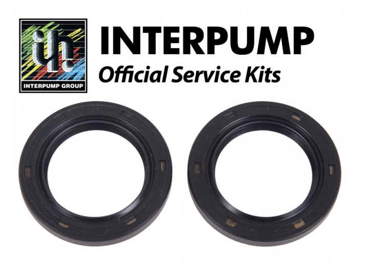 Interpump Parts Kit [222 KIT032]