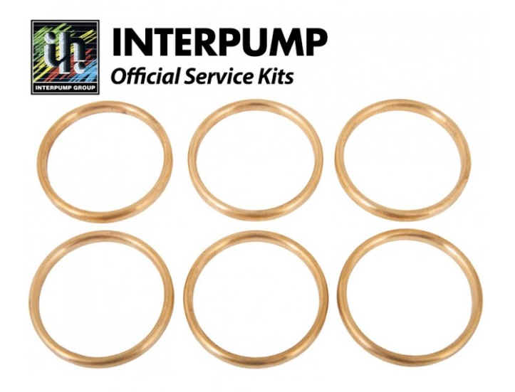 Interpump Kit (or 90.1648.00) [222 KIT041]