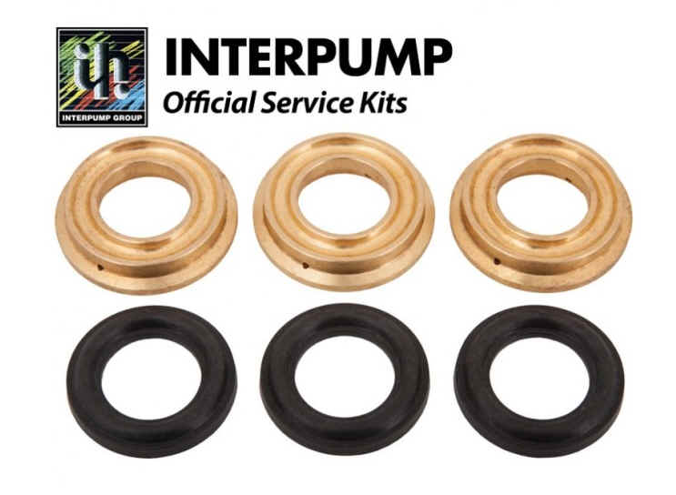 Interpump Parts Kit [222 KIT071]