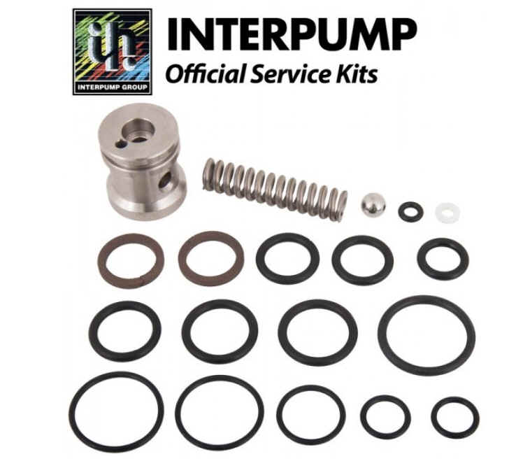 Interpump Parts Kit [222 KIT095]