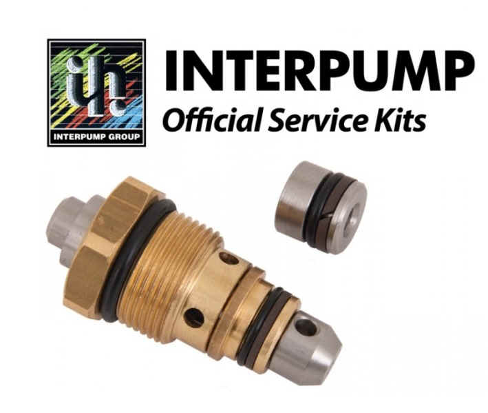 Interpump Parts Kit [222 KIT098]