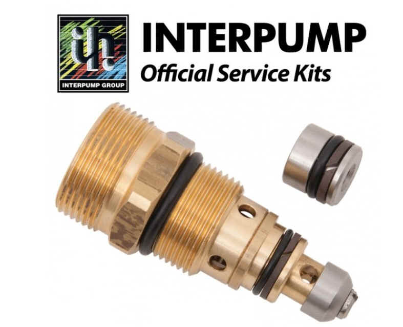 Interpump Parts Kit [222 KIT102]