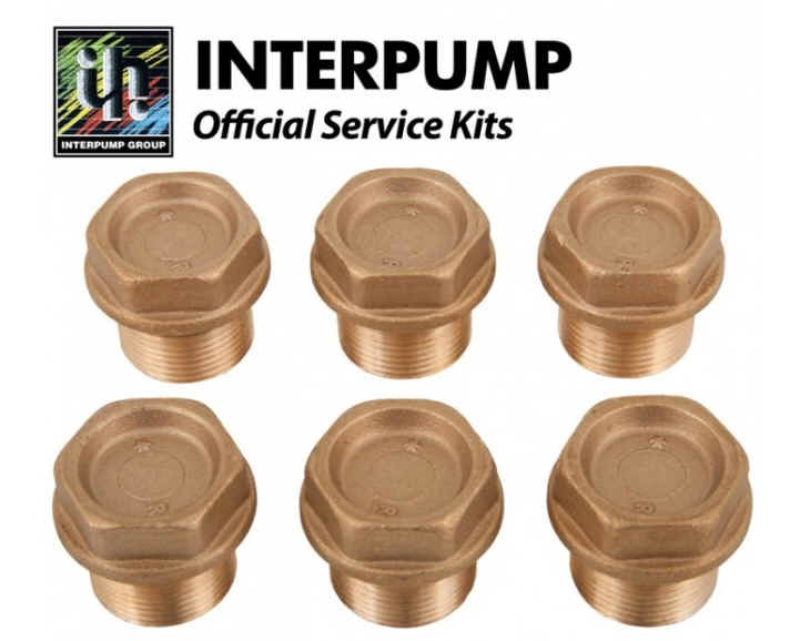 Interpump Valve PlugM24x1.5x17 [222 KIT124]