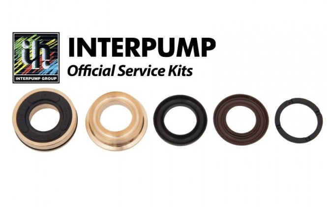 Interpump Parts Kit [222 KIT131]
