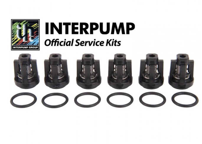 Interpump Parts Kit [222 KIT134]