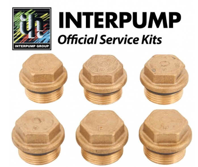 Interpump Valve PlugM24x1.5x11 [222 KIT157]