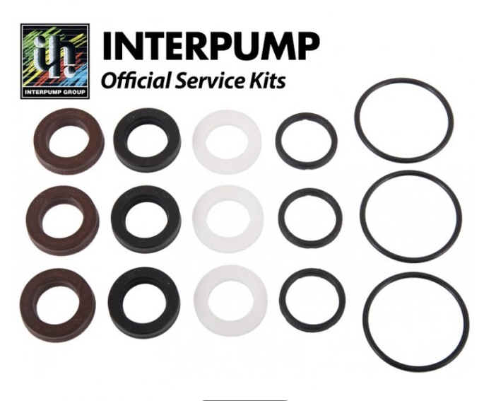 Interpump Seal Kit (D) [222 KIT272]