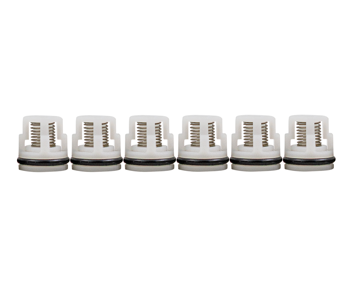 RMW2.2 Valve Kit [223 2233]