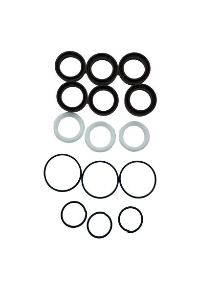 AR Gasket Kit D22 S194 (D1) [223 2783]