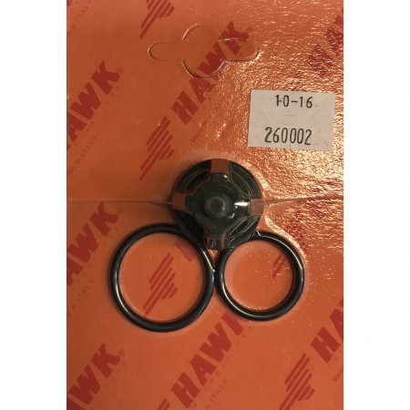 Hawk Valve Kit - Was 2600.02 [224 1.099-874.0]