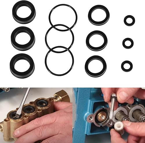 12 PCS Replacement 76975 Seal Kit for 4DNX Pumps Fits for CAT 4DNX25GSI & 4DNX27GSI Pump [225 76975]