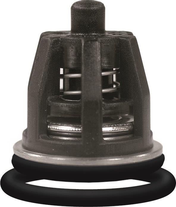 Hawk Complete Valve Kit (D01) [224 1.905-719.0]