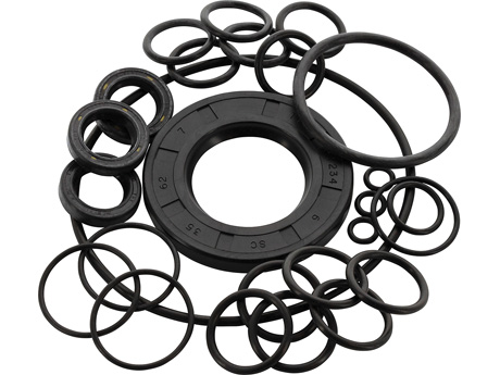 O-ring & Oil seal kit ZW KF [115 50190683]