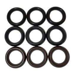 Interpump Parts Kit [222 KIT088]