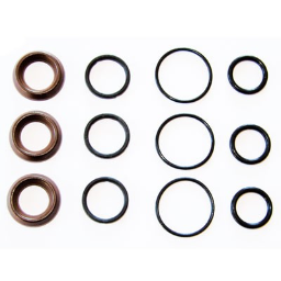 interpump water seal kit [222 KIT097]