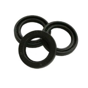 Interpump Oil Seal Kit [222 KIT159]