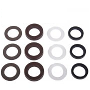Interpump Parts Kit [222 KIT161]