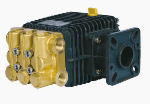 Pumps - Bertolini