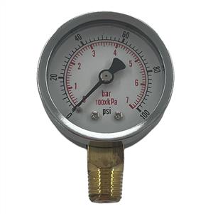 Gauge - Dry 100 PSI 2inch [125 85.400.100]