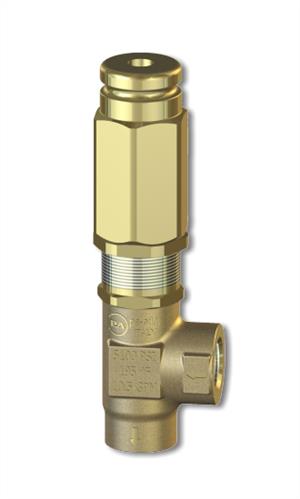 VS310 Safety Relief Valve [145 60.0500.00]