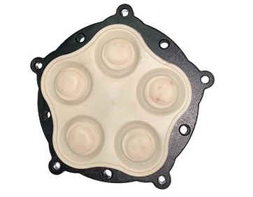 Diaphragm Assy 3GPM EF  (C01) [165 EF788017]