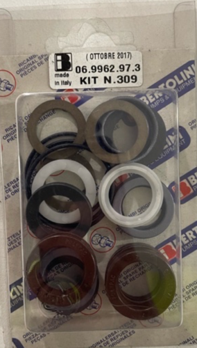 Minor Seal Kit [228 KIT309 (069962973)]
