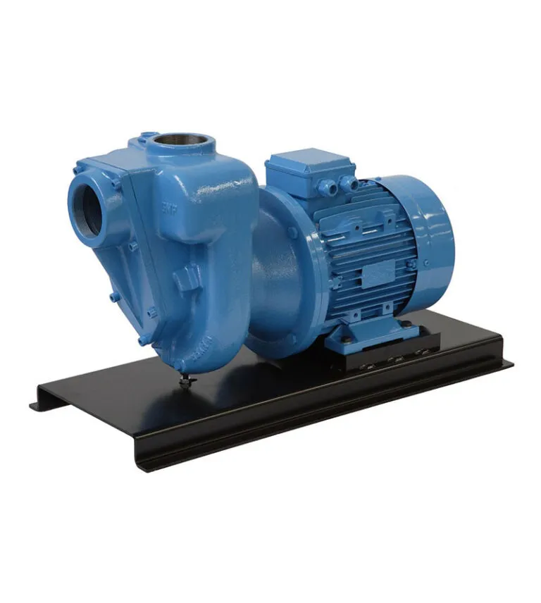 3″ BSP Bare Shaft Pedestal Pump [124 B3XR-ASTW]