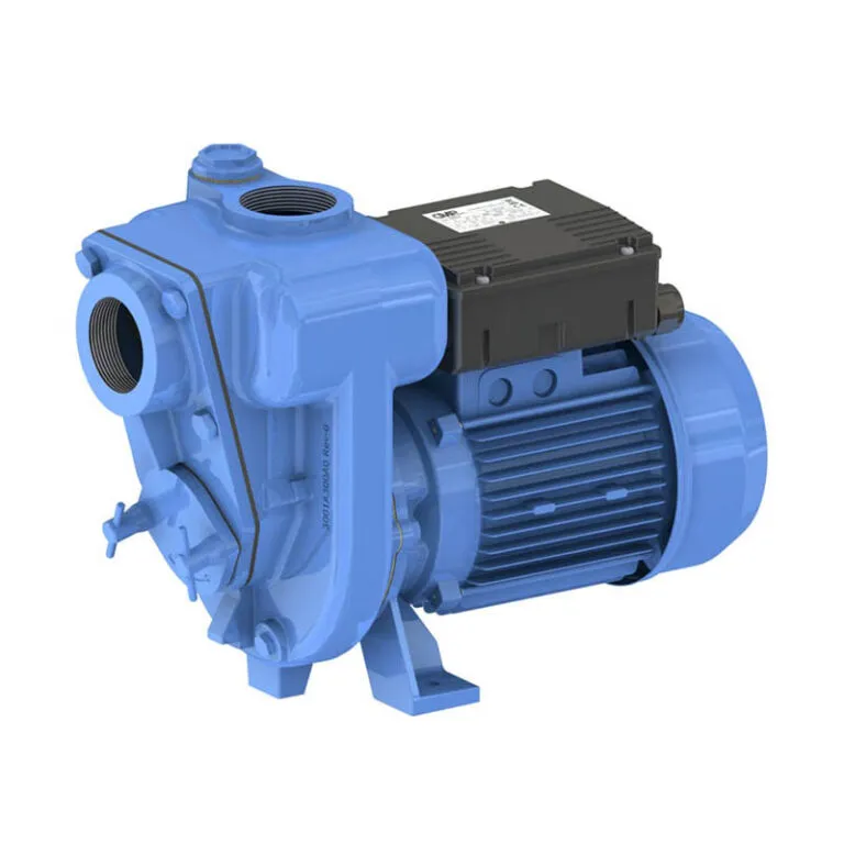 Other Pumps